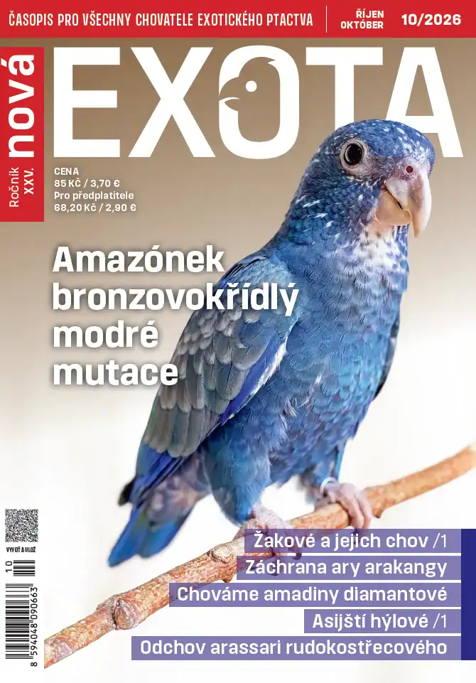 2026-10-obalka-CZ Obálka časopisu Nová Exota č. 10/2026, na titulu amazónek bronzovokřídlý v modré mutaci
