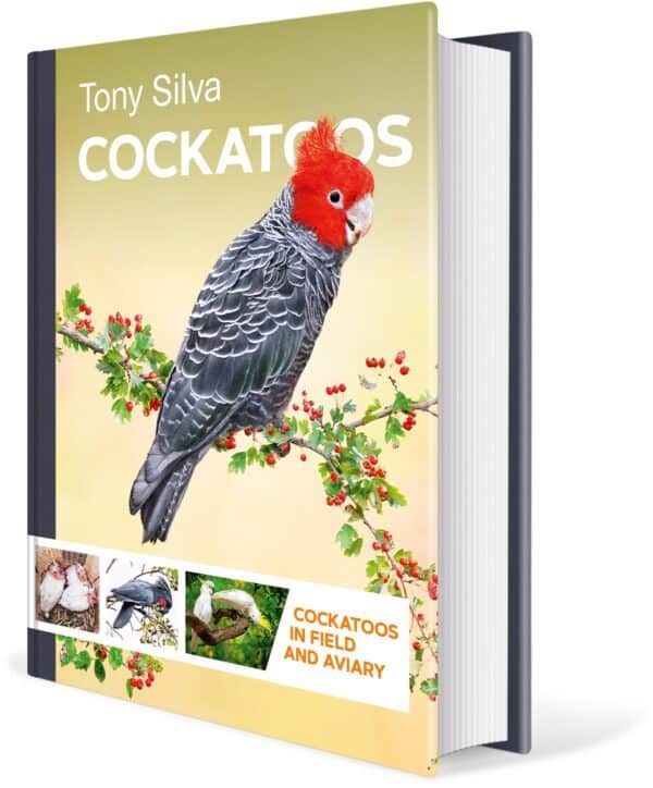 Cockatoos: Cockatoos in Field and Aviary od Tonyho Silvy, přední strana obálky