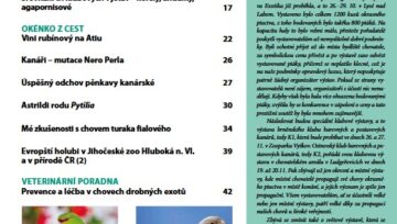 Obsah časopisu Nová Exota č. 11/2022