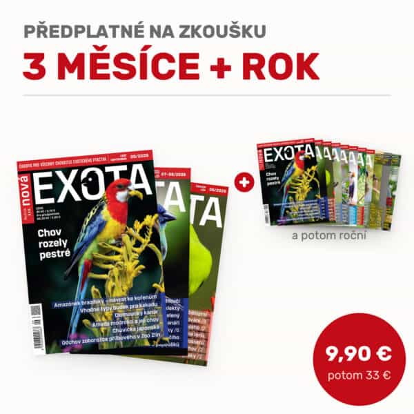 Předplatné na zkoušku, 3 měsíce + rok
